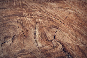Holzwurm bekämpfen