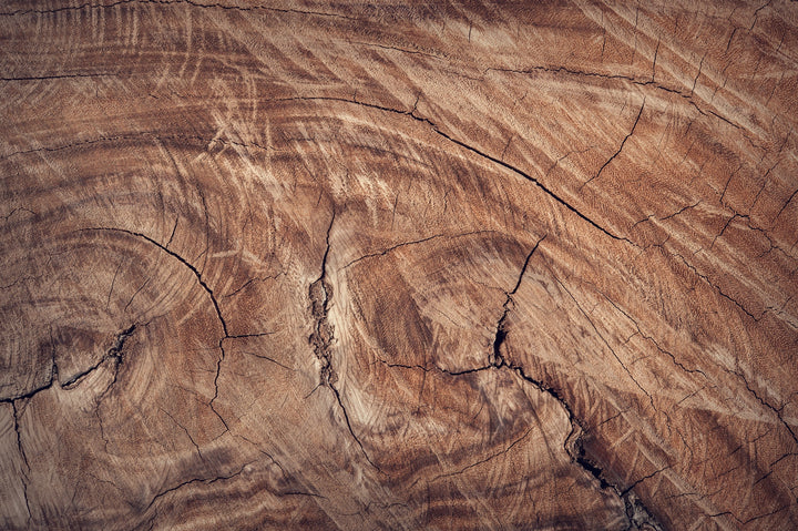 Holzwurm bekämpfen